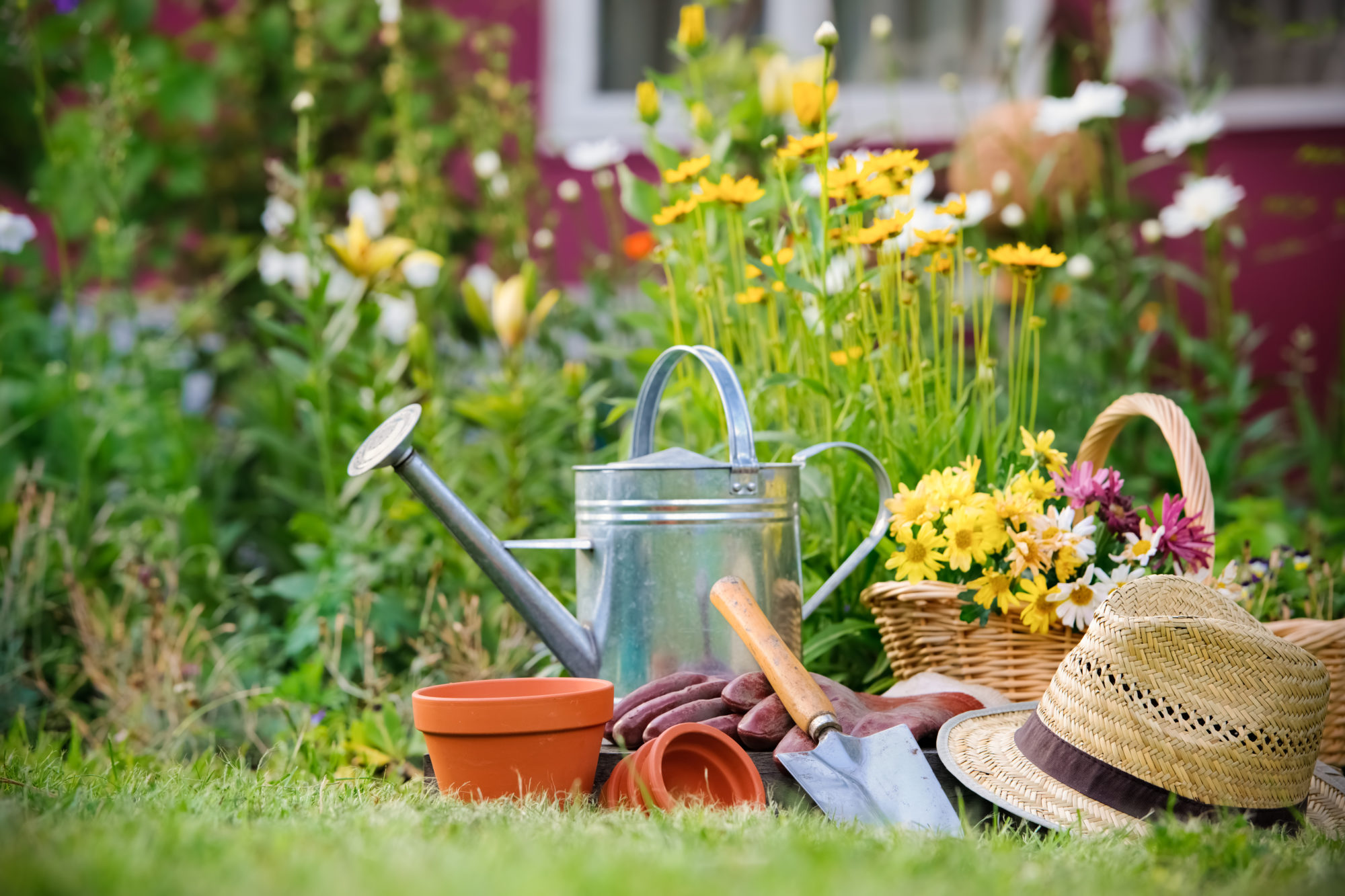 Was muss ich bei der Gartenarbeit beachten? | ECARF